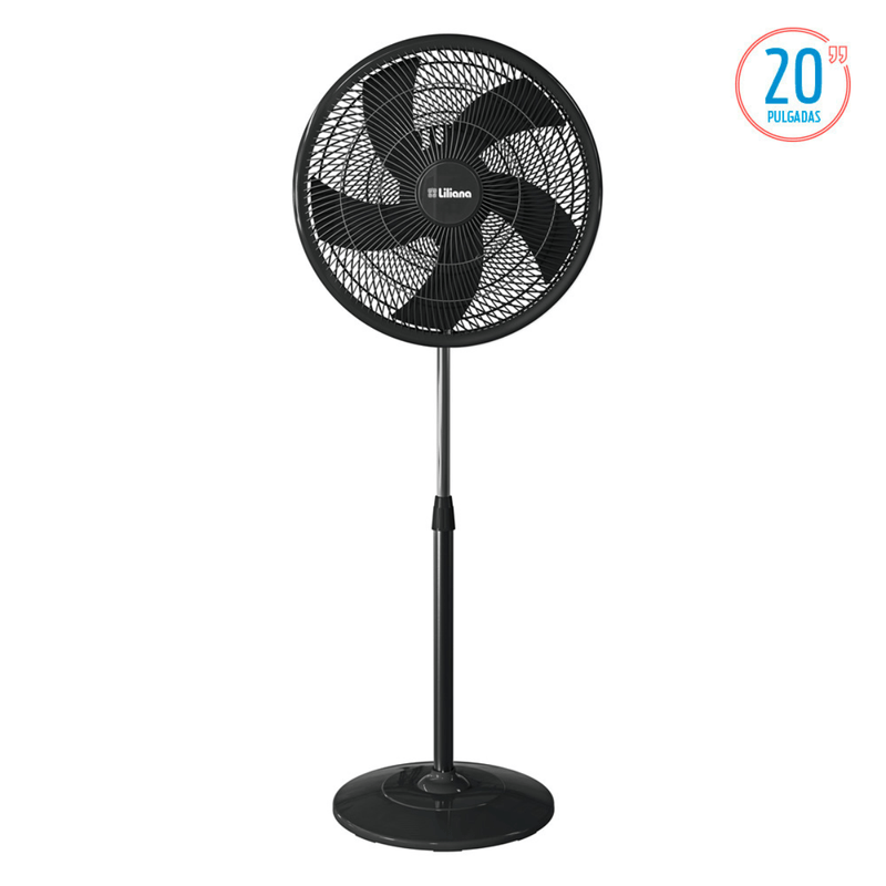 Envio-Gratis---2024-12-11T171715.842