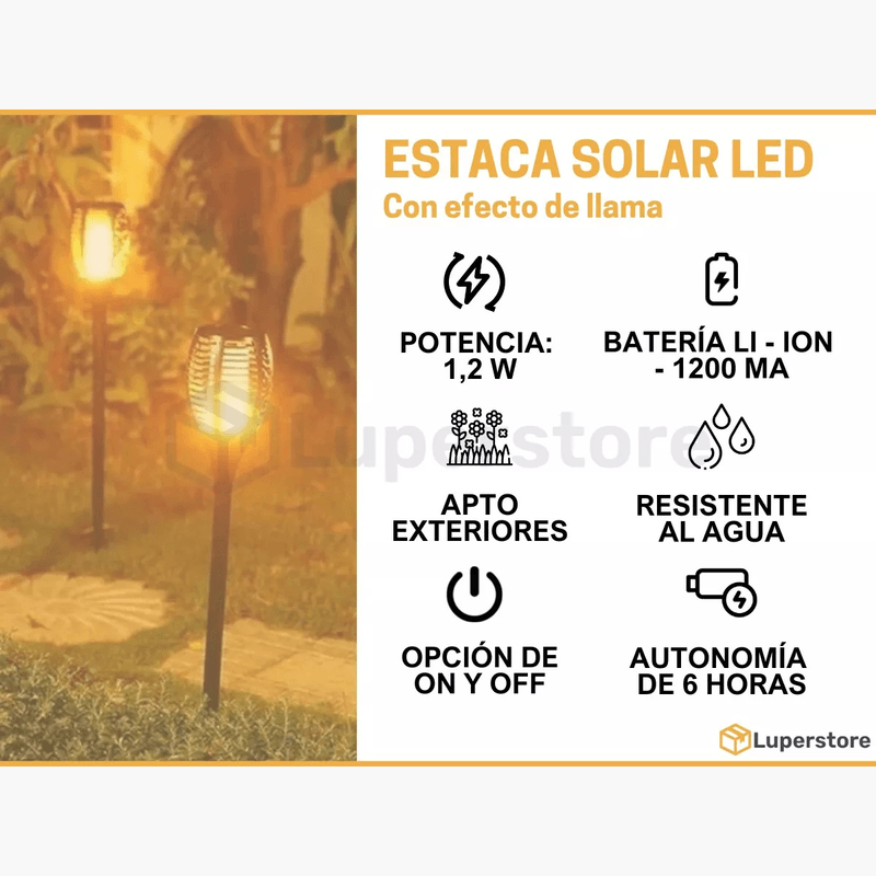 SIN-INTERES---2024-12-21T103013.792