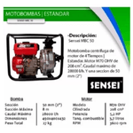 SIN-INTERES---2025-01-07T175406.607