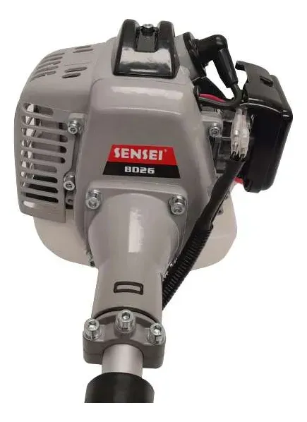 last-image
