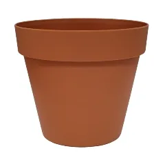 fist-image